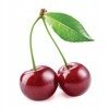 Cherry Kernel Thermofor - Boho Catcher Large 500g