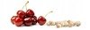 Cherry Kernel Thermofor - Grey Stars Large 500g