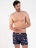 Pánské boxerky s potiskem Witalis