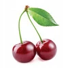 Cherry Kernel Thermofor - Bílé hvězdy