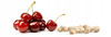 Mom's Care Black and White Cherry Seed Thermofor