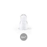 6m +