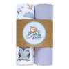 Egakids Dvoubalení mušelínových plenek Light Grey Duet