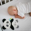 Babyono Hugs s vydrou Maggie Suspension